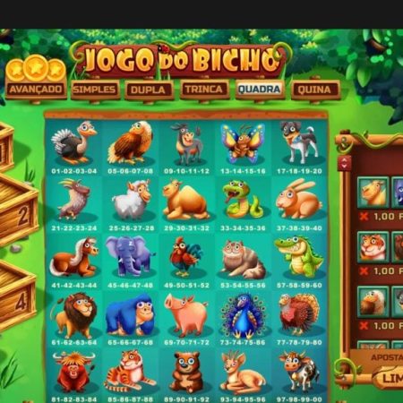 Jogo do Bicho online: Dicas e informações para jogar apostas online