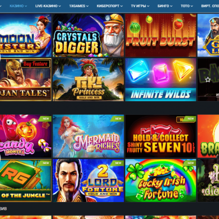 How to make money on bets in 1xBet?