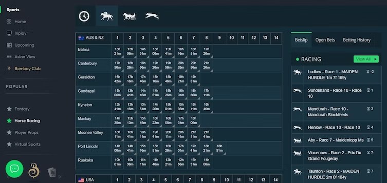 Corrida de Cavalos Sportsbet.io