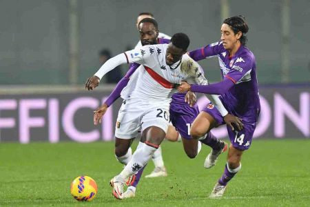Fiorentina - Genoa